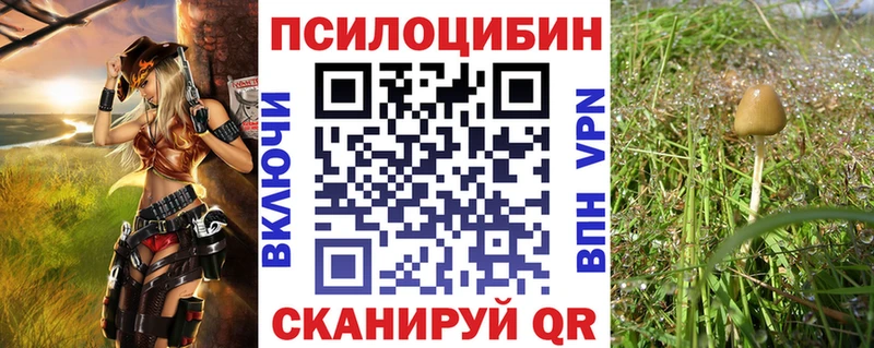 OMG как зайти  Кингисепп  Галлюциногенные грибы ЛСД 